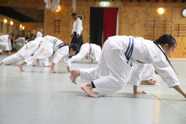 Wee Warriors — Aikido for children aged 4–6, kids martial arts class