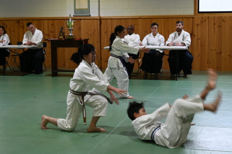 Kids lined up at their Aikido belt grading day, Aikido for children