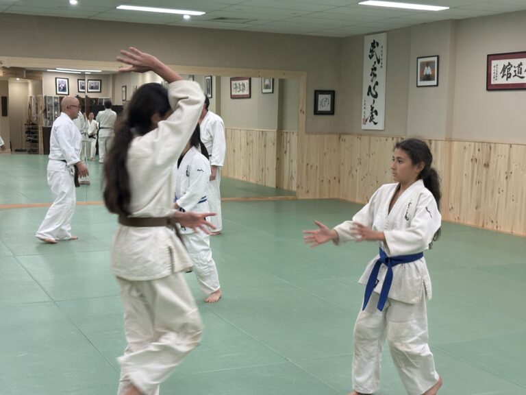 kids training in Aikido, a traditional martial art, Melbourne