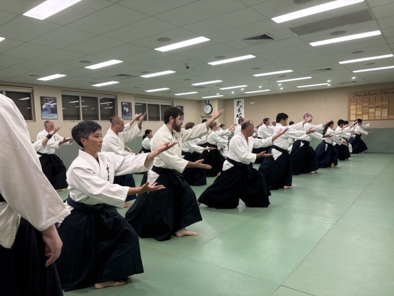 Advanced black belt class: students lined up practicing the basics and building a strong core and foundation